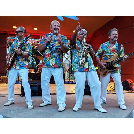 four musicians in bright hawaiian prints